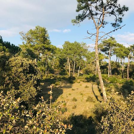 Standing, Luminosite A 100M De La Mer, T3 Prestige Saint-Hilaire-de-Riez Zewnętrze zdjęcie